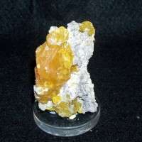 CRISTALLO DI ZOLFO SU CALCARE