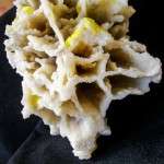 ARAGONITE ALVEOLARE CON ZOLFO