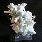 ARAGONITE AZZURRA CUPRIFERA