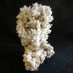 ARAGONITE CORALLOIDE