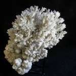 ARAGONITE CORALLOIDE