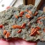 BARITE rossa su ANGLESITE