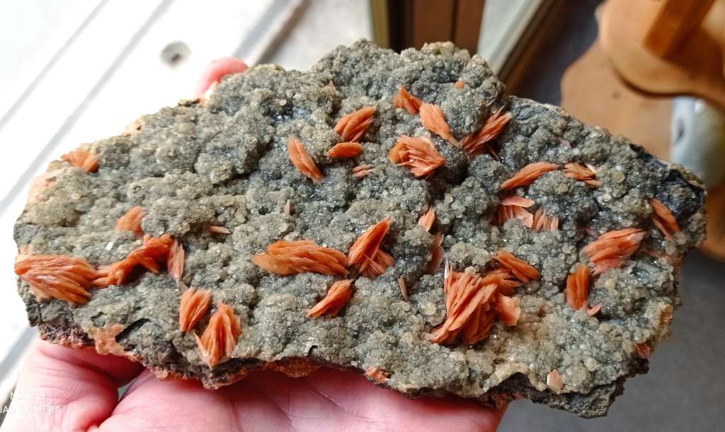 BARITE rossa su ANGLESITE