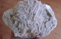 Manganocalcite