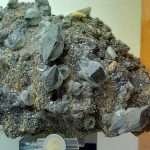 CALCITE a dente di cane