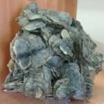 Fluorite verde con Barite di Termini Imerese