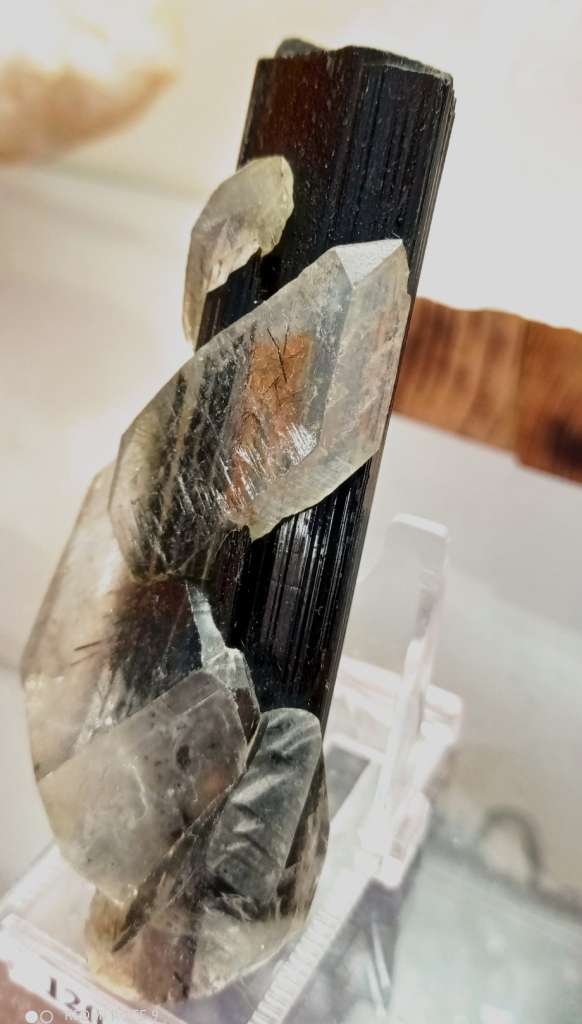 TORMALINA NERA con QUARZO