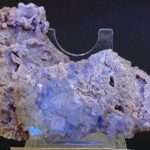 Fluorite verde di Termini Imerese