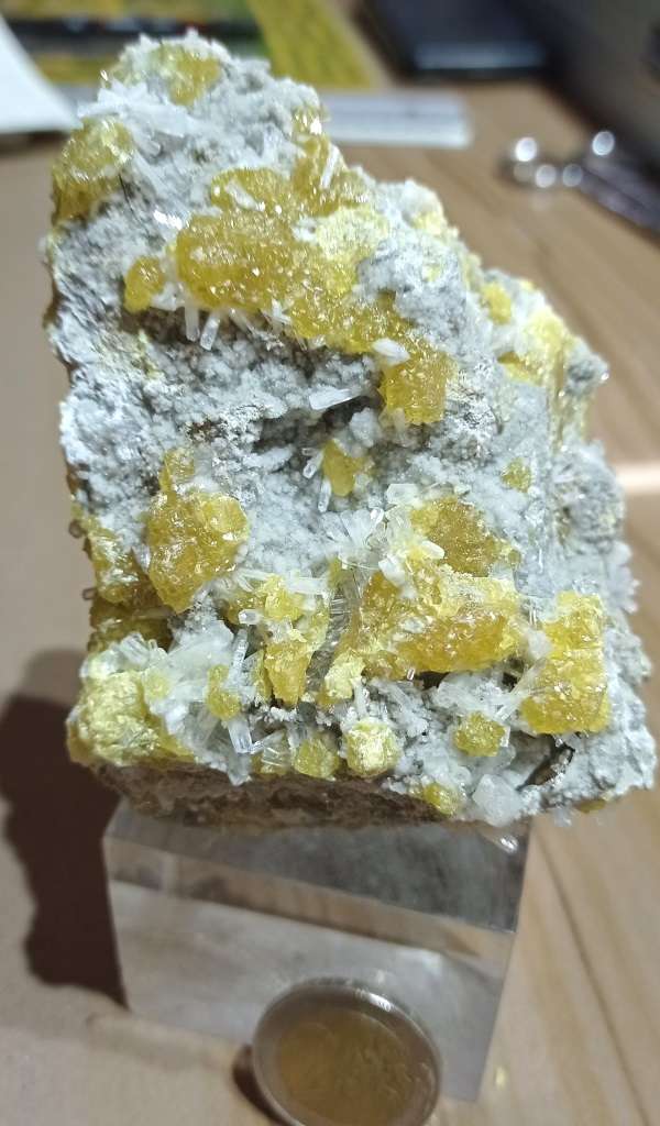 CELESTINA SU ZOLFO MIELATO