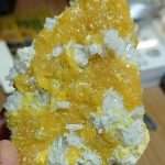 CELESTINA SU ZOLFO MIELATO