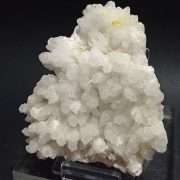 CELESTINA  CON ZOLFO