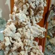 ARAGONITE CORALLOIDE
