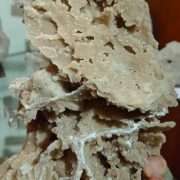 ARAGONITE CORALLOIDE