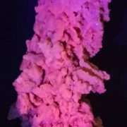 ARAGONITE CORALLOIDE