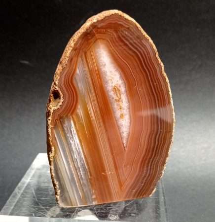 AGATA GEODE
