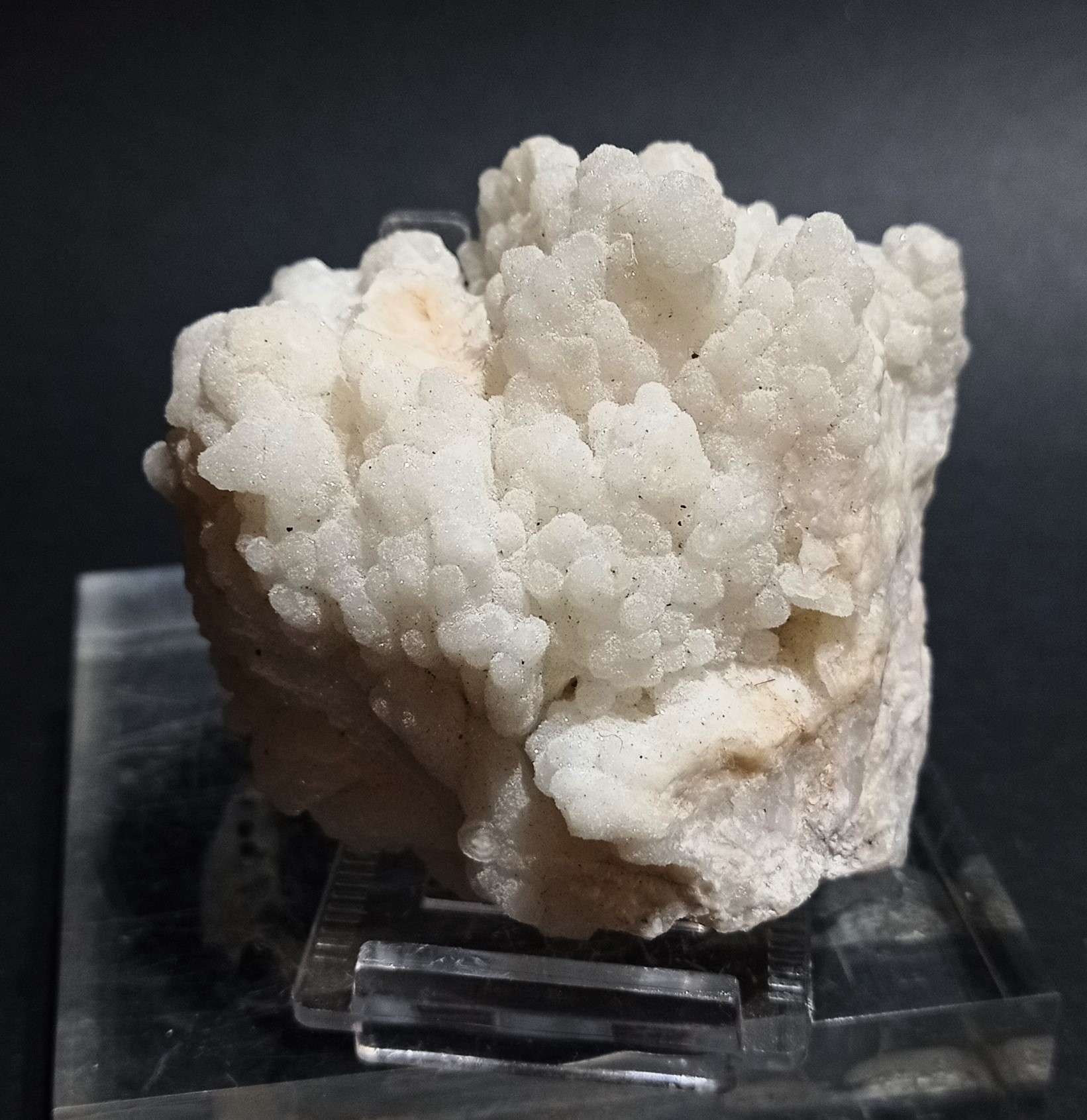 CALCEDONIO BOTROIDALE