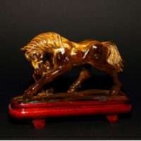 CAVALLO IN OCCHIO DI TIGRE