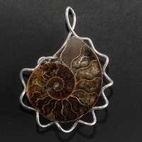 Ciondolo con ammonite