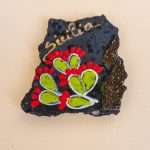 Calamite fichi d'india