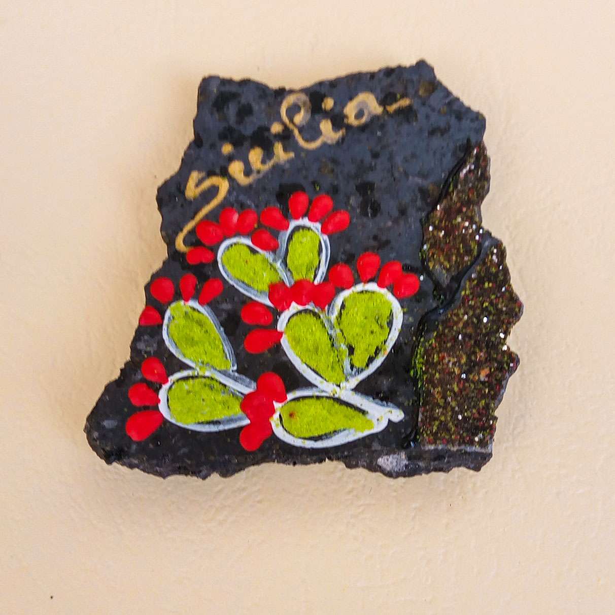 Calamite fichi d’india