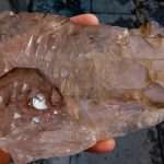 QUARZO FUME’ a TRAMOGGIA