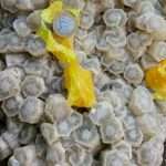 ARAGONITE BIANCA CON ZOLFO