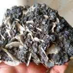 TETRAEDRITE CON PIRITE