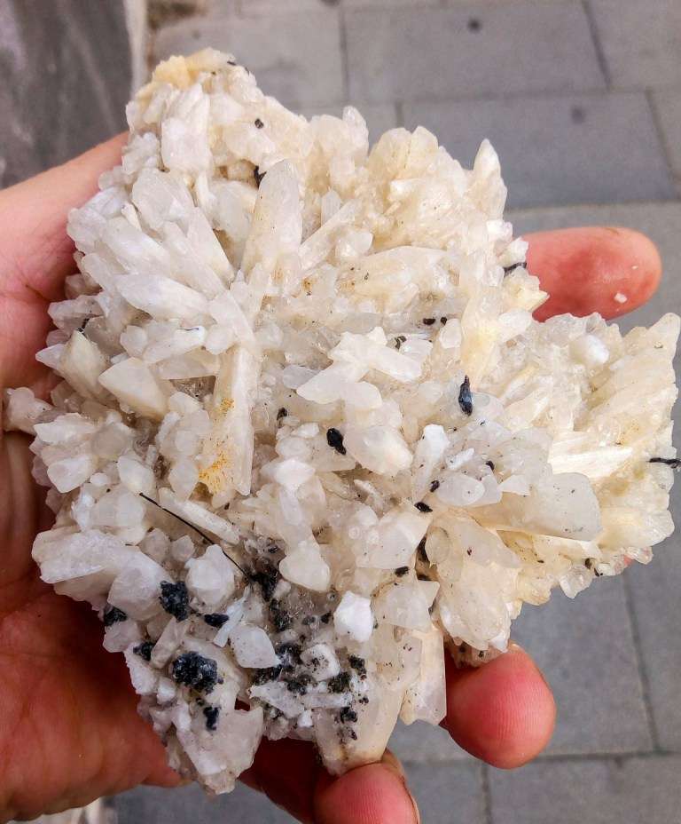 DAMBURITE CON BLENDA