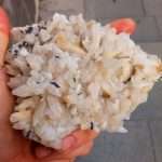 DAMBURITE CON BLENDA