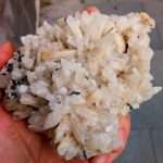 DAMBURITE CON BLENDA