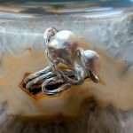 ANELLO CON PERLA BAROCCA