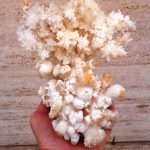 CALCITE a dente di cane