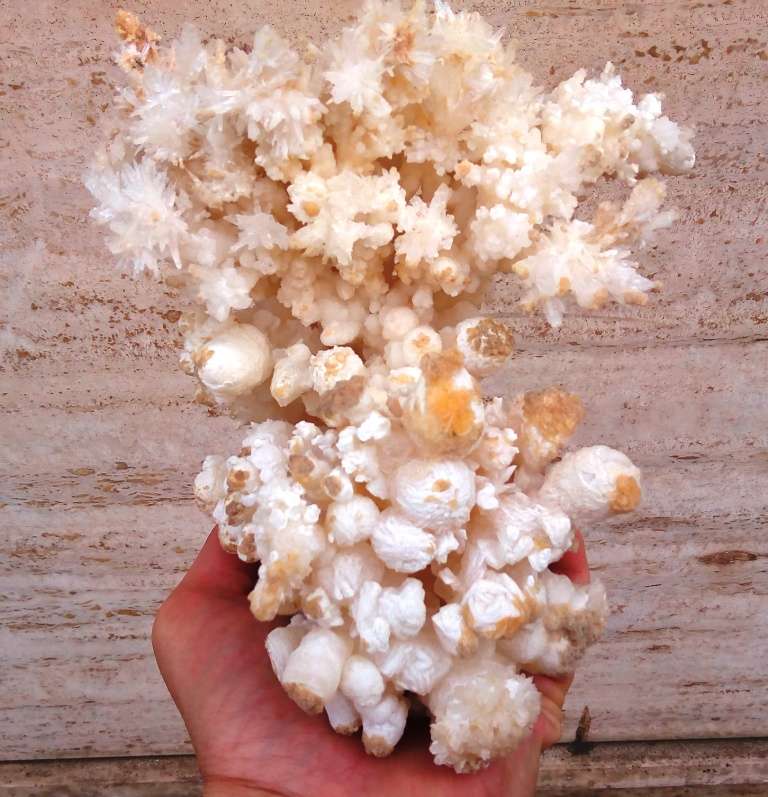 Aragonite Coralloide