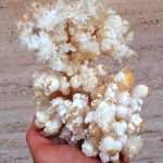 Aragonite Coralloide